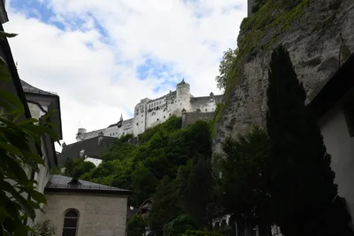 DSC_6345 (Large).JPG